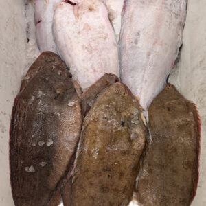 Dover Sole