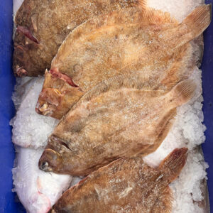 Lemon Sole